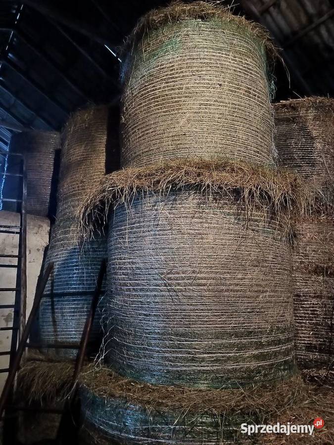 Siano z tego roku baloty łódzkie Łyszkowice sprzedam