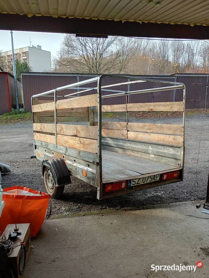 PRZYEPKA NEPTUN LEEKA Zabrze