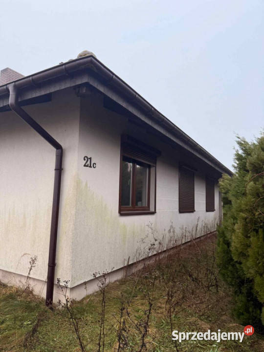 sprzedaży domu Strzałkowo Paruszewska