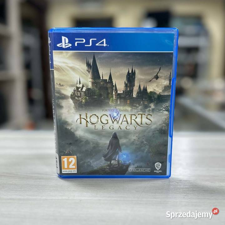 Gra na 4 Hogwarts Legacy