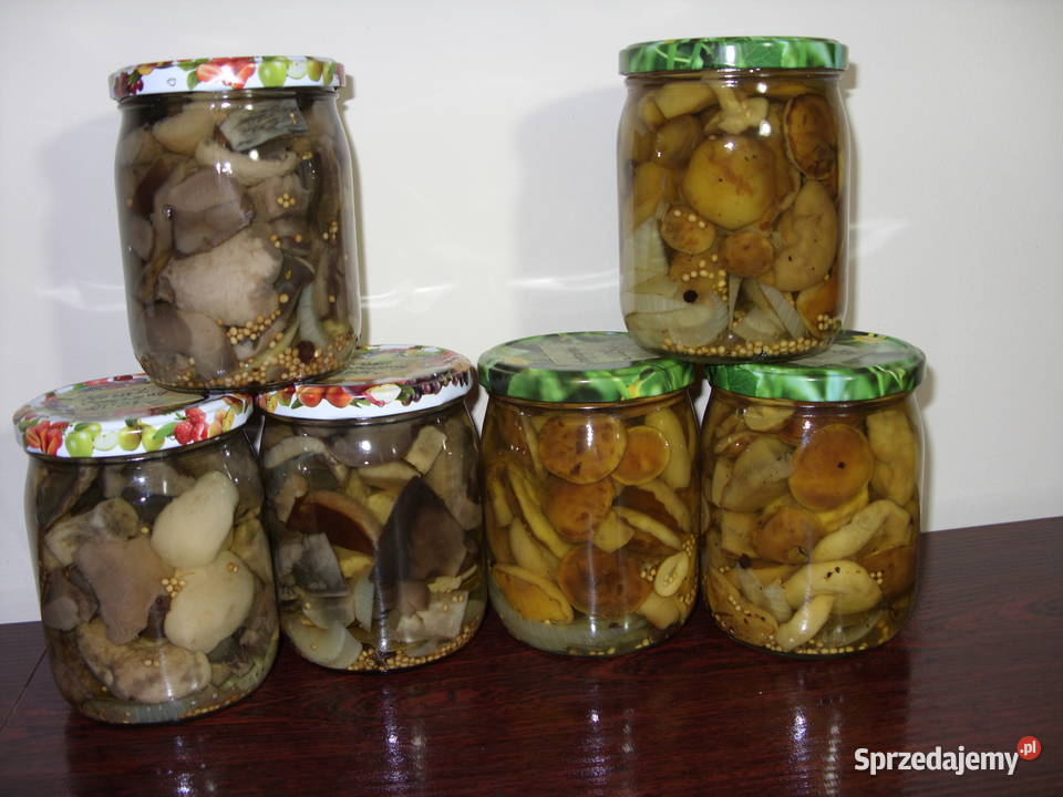 Ekologiczne grzybki i jagody