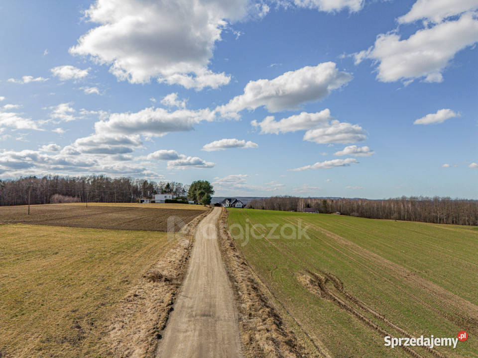 Grunt Milwino 3111m2 Sprzedaż