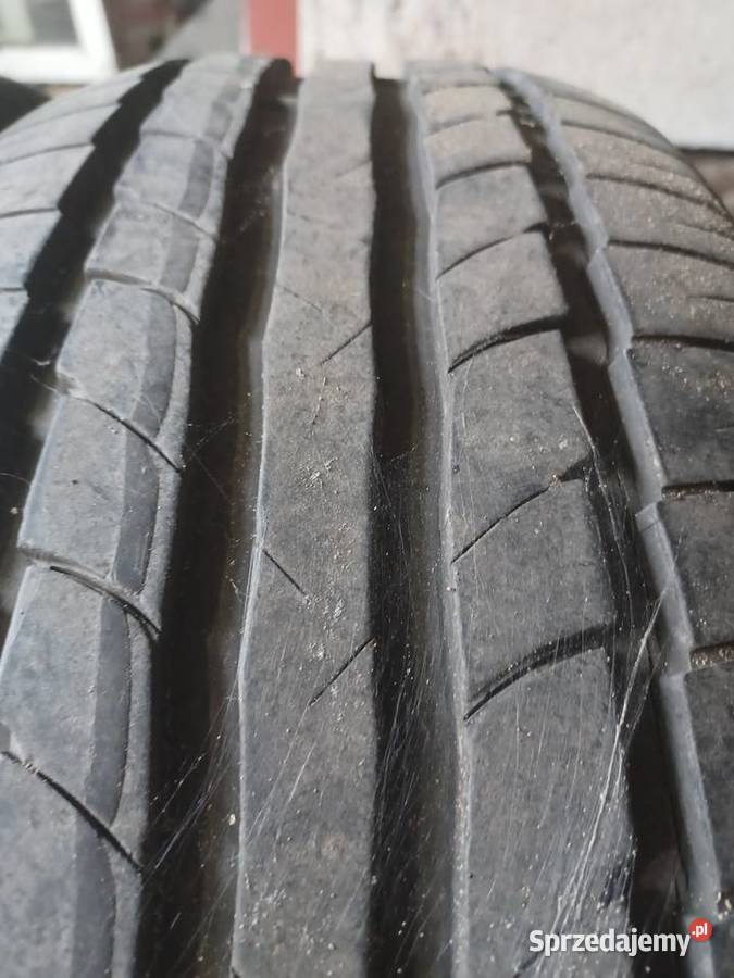 Opony letnie Dębica Wałcz