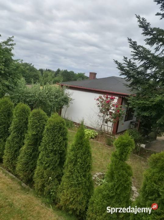 Piękna działka rod uniszowice 80zł/m2 Sprzedaż Lublin