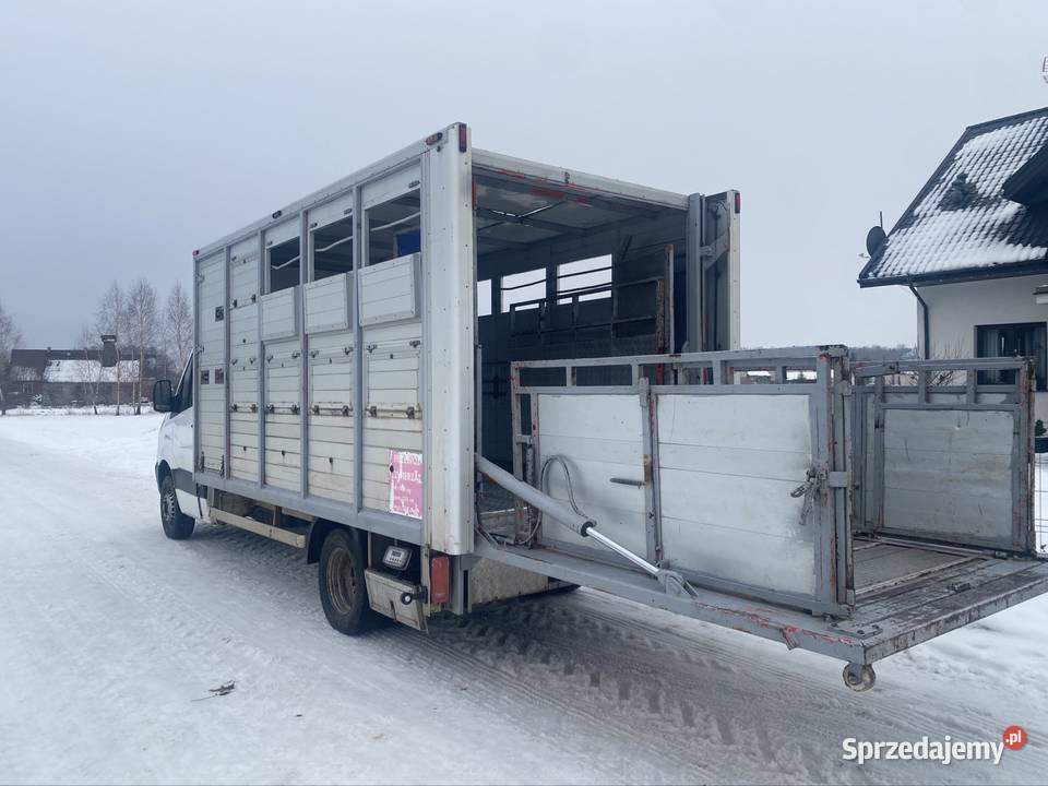 Mercedes sprinter do przewozu bydła z wagą Sawino