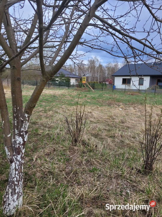 Działka koło Zalesia Górnego