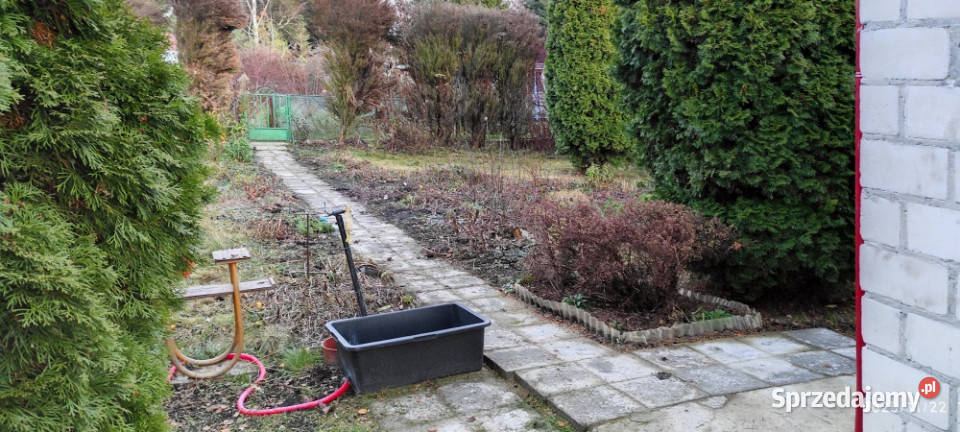 Działka rekreacyjna ROD mazowieckie Ząbki