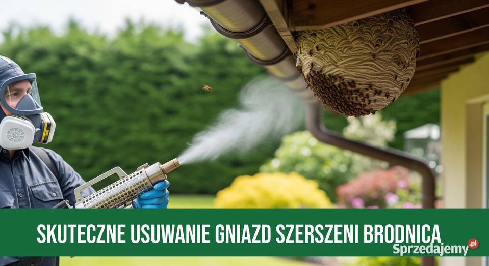 Zwalczanie Szerszeni Brodnica Usuwanie Gniazd