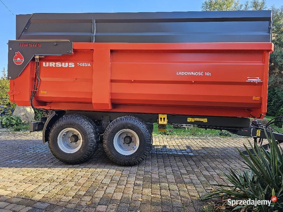 Przyczepa SkorupowaBudowlana Ursus T 083A 2023 nieuszkodzony Oborniki sprzedam