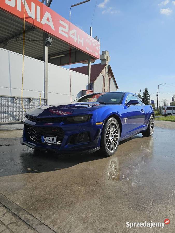 Camaro Brzeg