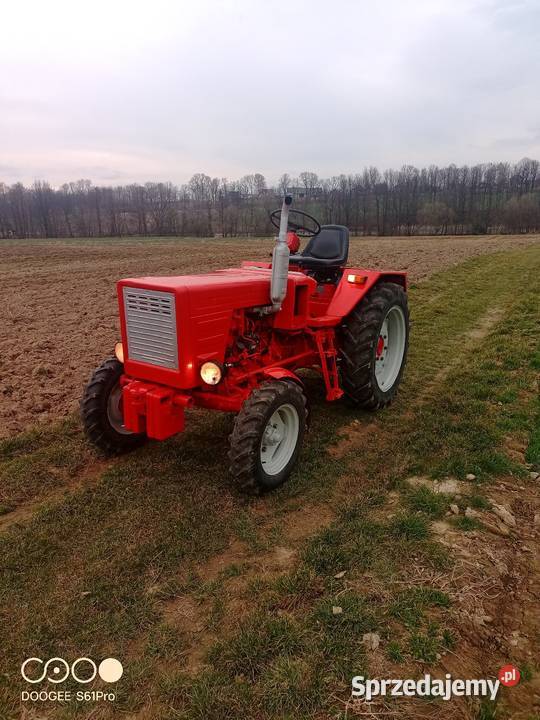 Władimiriec Rusek t25 Bulowice