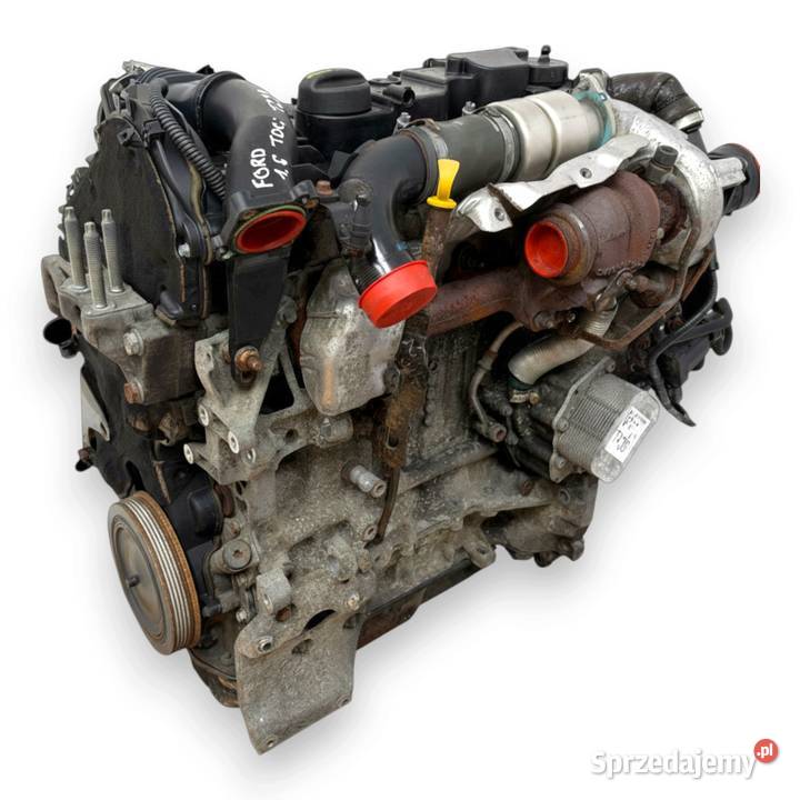 SILNIK TZJB Ford Fiesta VI VII MK7 16 TDCI 95 lubelskie Chełm