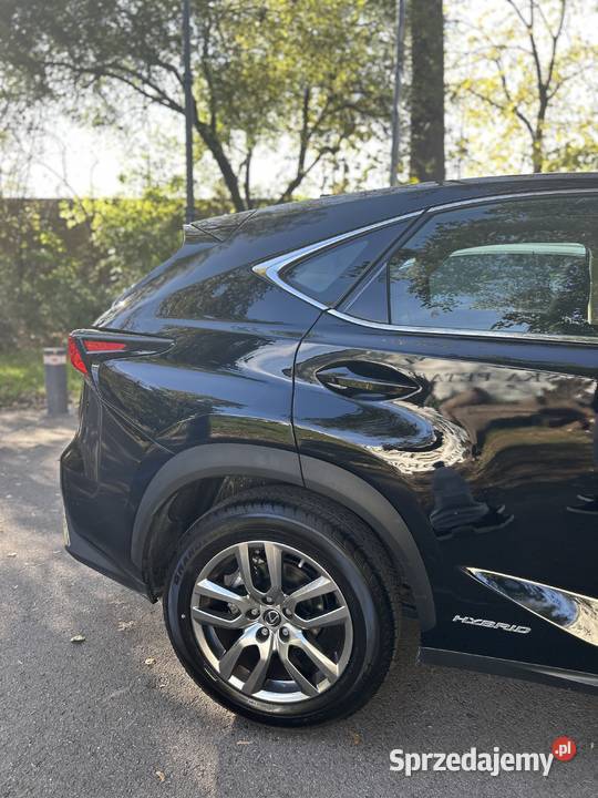 Lexus NX 300h