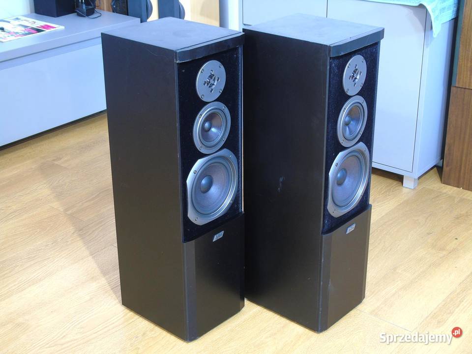 Świetne kolumny stereo ASW Sonus DC 100 sprawne Jasło