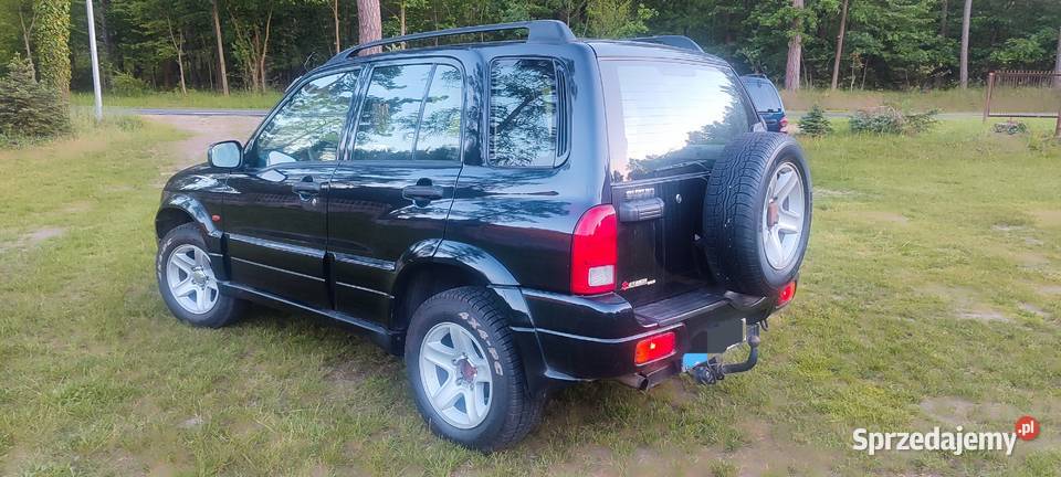 Grand Vitara 20 HDi 2004r