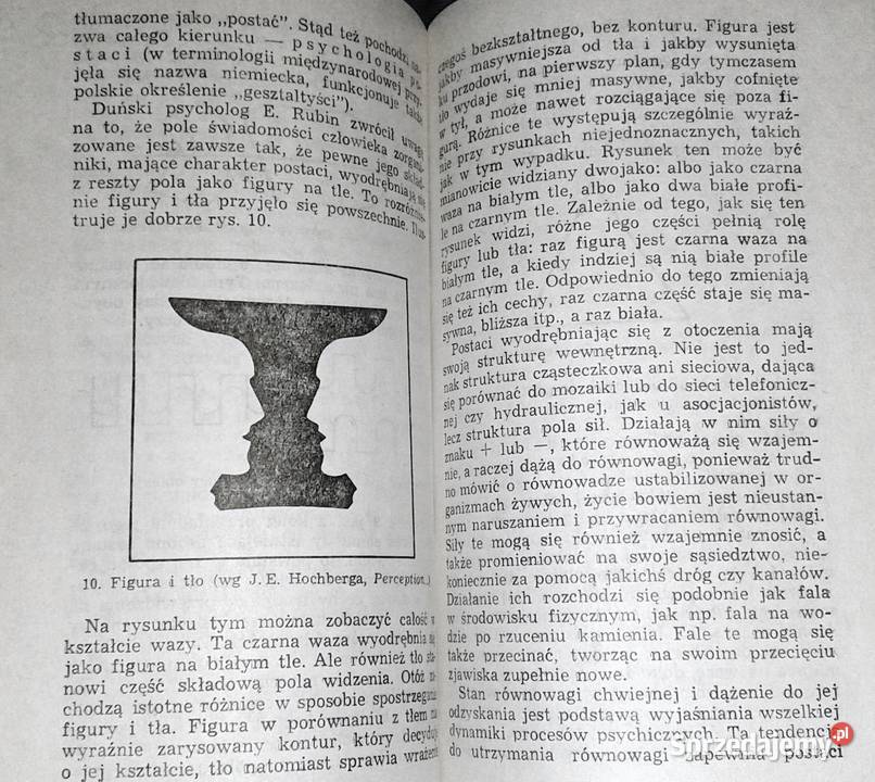 Główne idee współczesnej psychologii Tadeusz lubelskie Chełm sprzedam