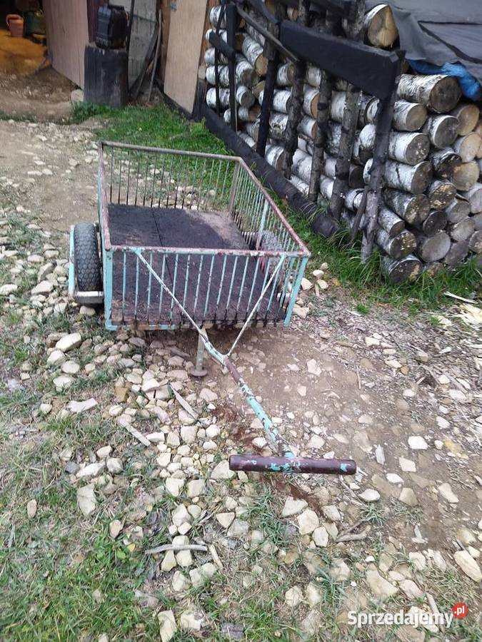 Wózek dwukołowy solidny z rączką uchwytem quad Paleśnica