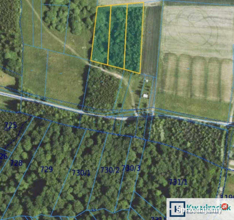 Grunt Gogołów 12200m2