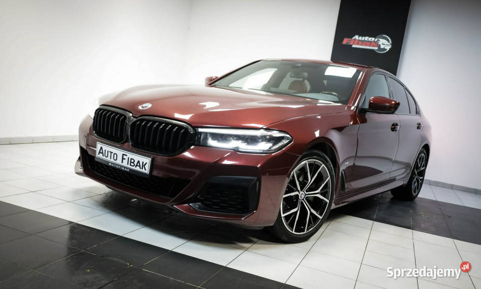 BMW 520 LCI190xDriveMpakietSalon PolskaI