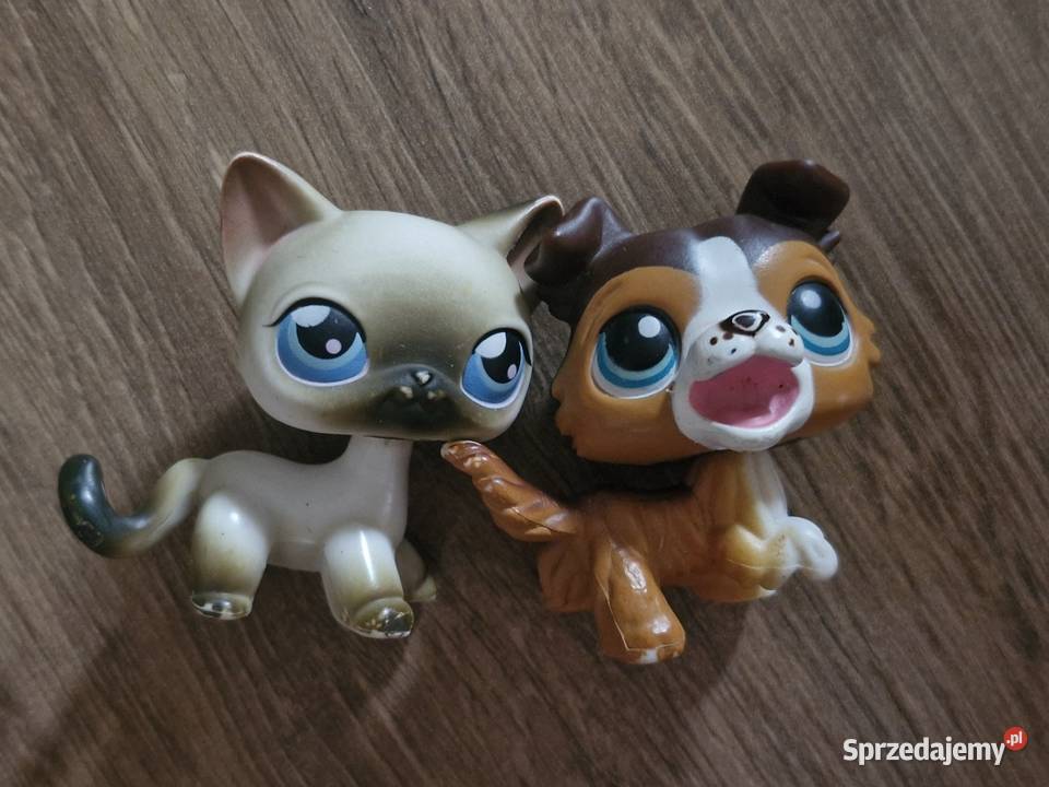 Collie I kotek pet shop oryginalne 6 lat+ Starogard Gdański