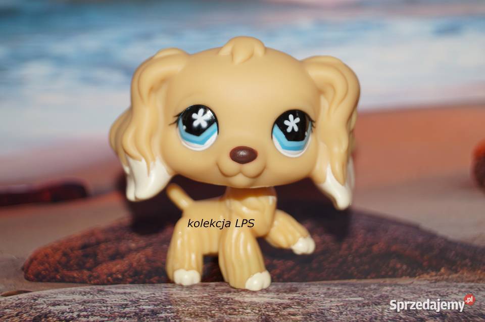 LPS Littlest Pet Shop spaniel 748 oryginalny Hasbro śląskie Rybnik