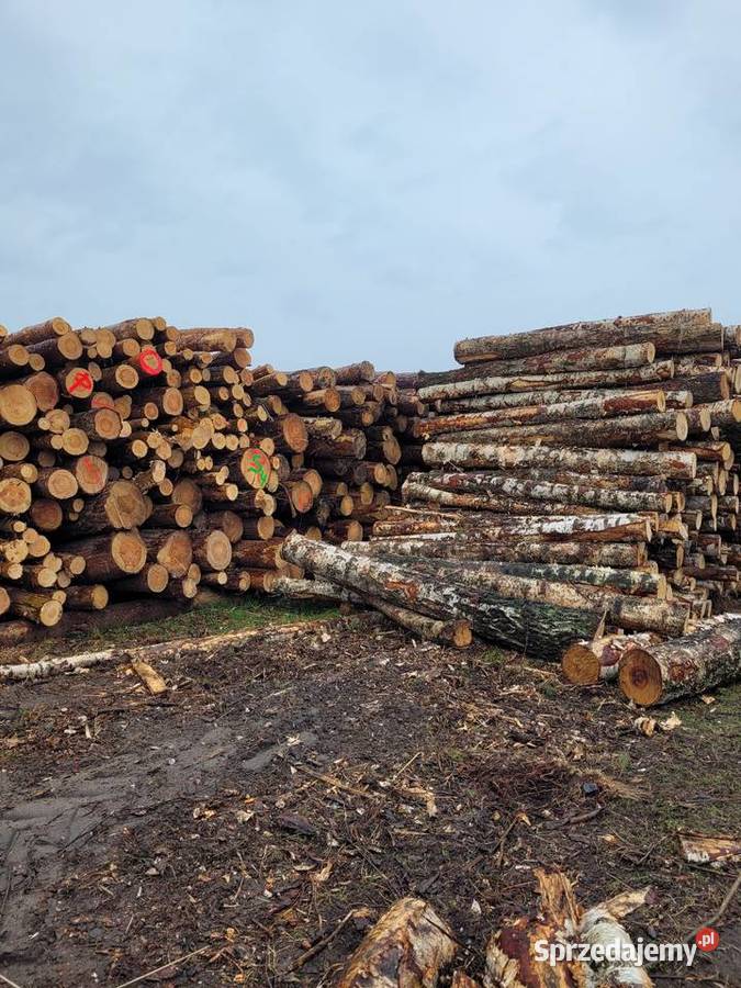 Drewno opałowekominkowe