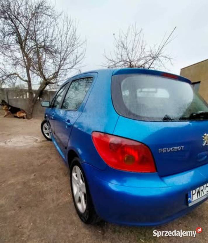 Peugeot 307 16HDI 110 wielkopolskie Września sprzedam