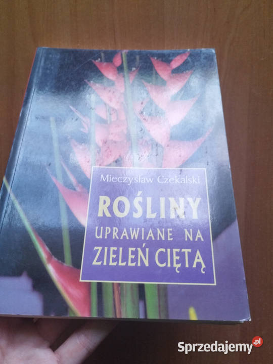 Książka Rośliny uprawiane na zieleń ciętą dom i ogród Katowice