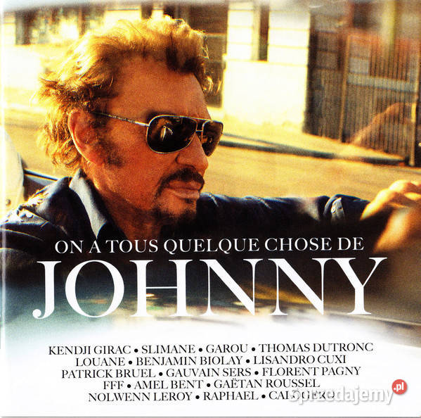 On A Tous Quelque Chose De Johnny Krynica-Zdrój
