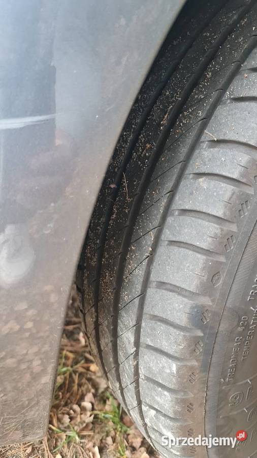 Citroen C4 Picasso 2007r 16 hdi Myszków