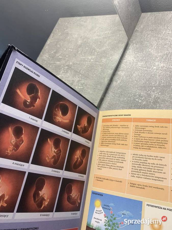 Matura biologia Vademecum repetytorium Greg HIT Jasło
