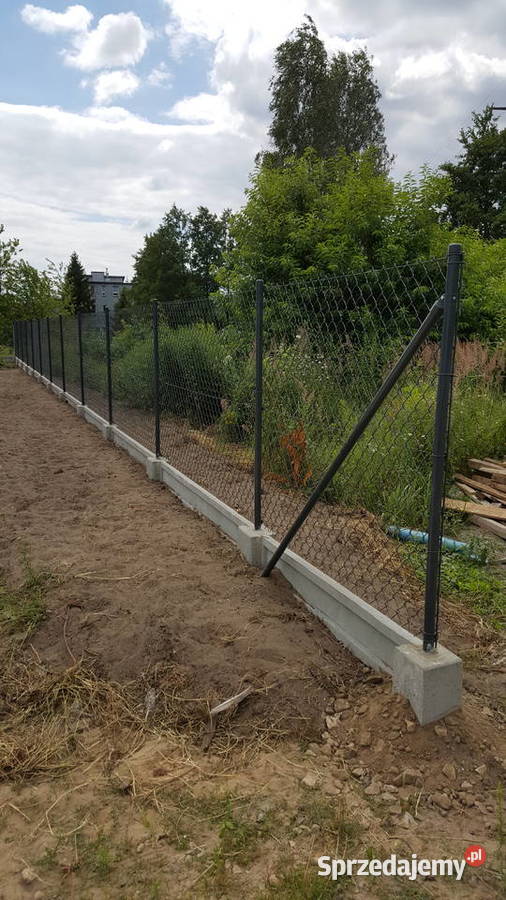 Siatka ocynk I Siatka powlekana I Super jakość I Poczesna
