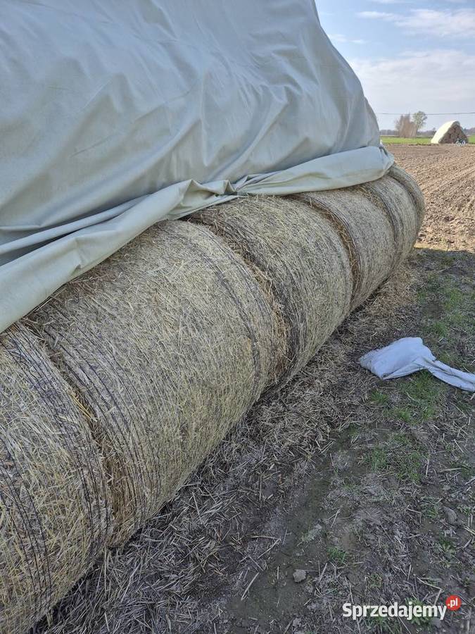 Sprzedam słomę lubelskie Parczew sprzedam