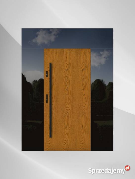 Drzwi Zewnętrzne Wejściowe Drewniane CZARNA Lublin