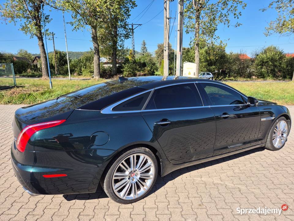 Jaguar XJ dolnośląskie Dzikowiec