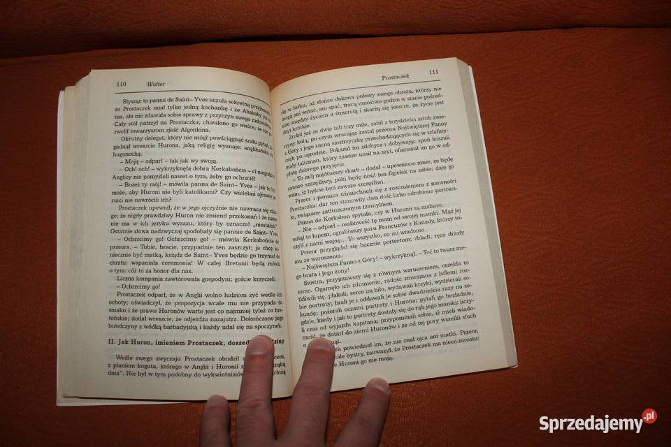 Kandyd Prostaczek Wolter Proza i poezja Chorzów