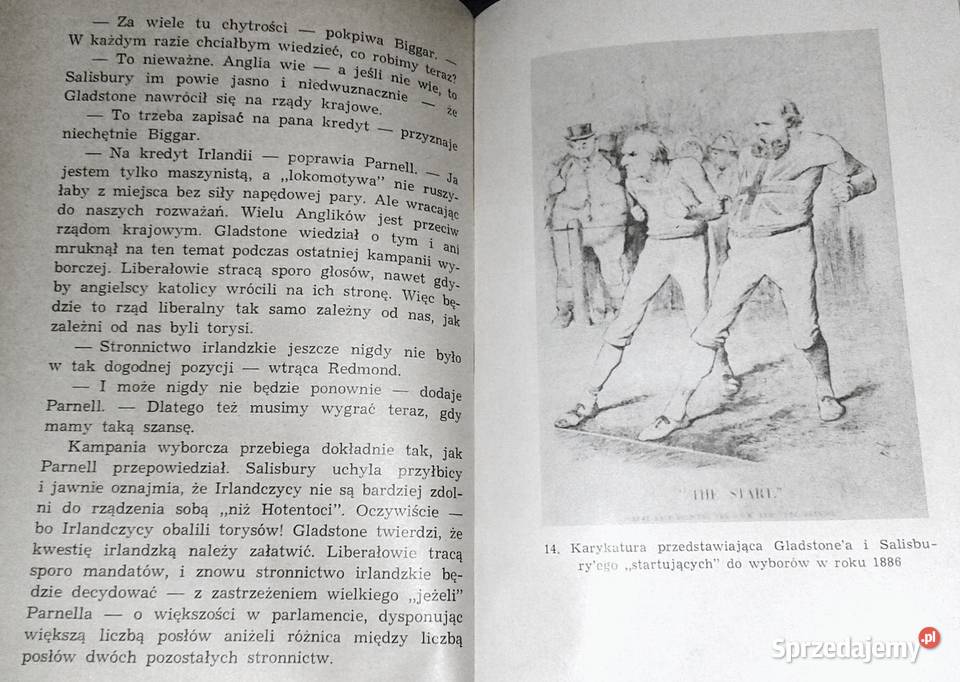 Niekoronowany król Irlandii George Bidwell Chełm