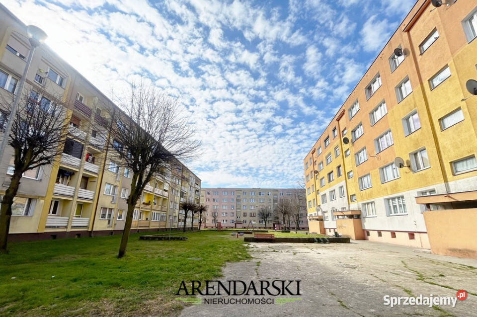 OGROMNY POTENCJAŁ 3 POKOJE W DĘBNIE Rok budowy 1970 Dębno