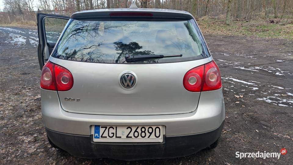 Volkswagen Golf V 2007 LPG Kliniska Wielkie
