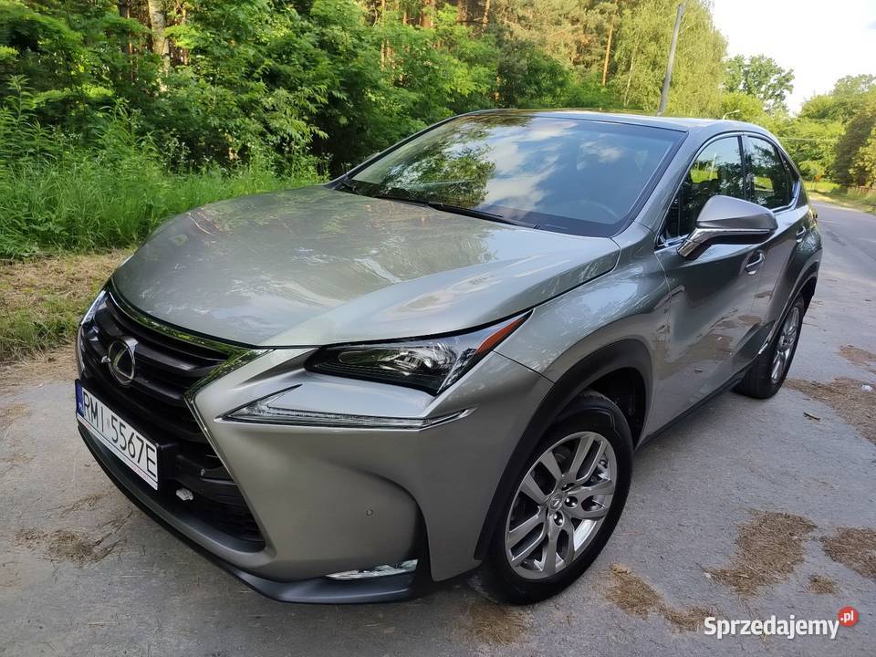 Lexus 300H 44 Panorama Bezwypadkowy Serwisowany sprowadzony NX podkarpackie sprzedam
