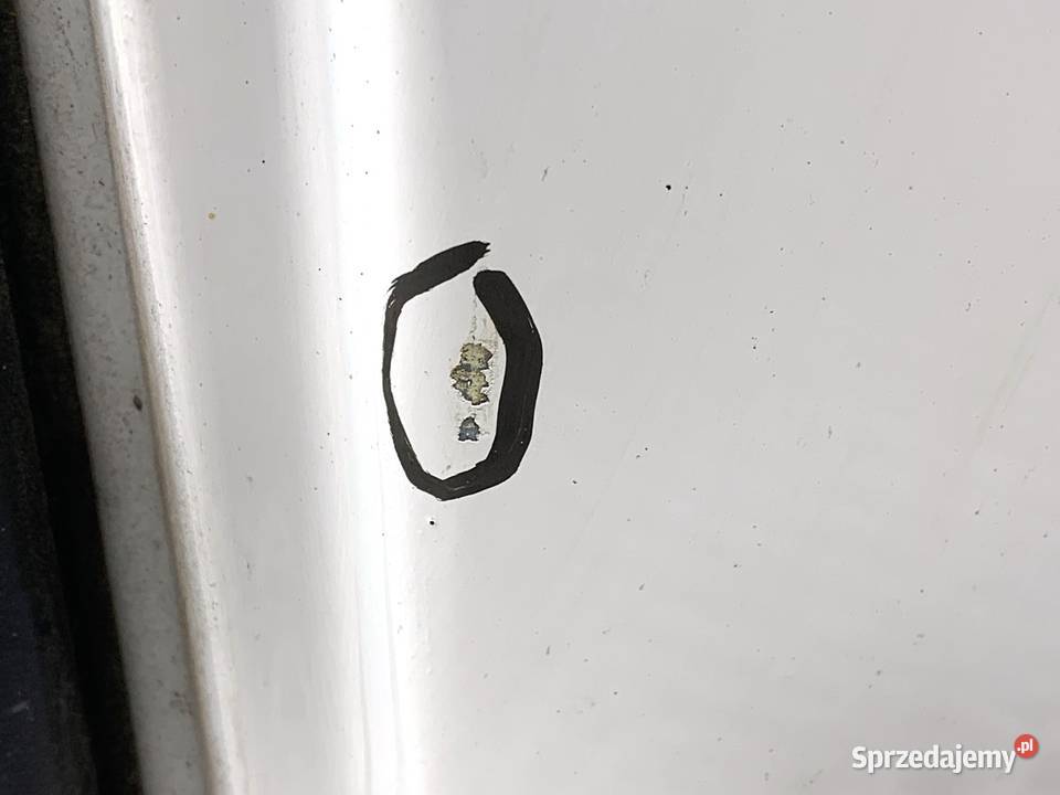 DRZWI TYLNE PRAWE RENAULT KANGOO II Minivan osobowe sprzedam