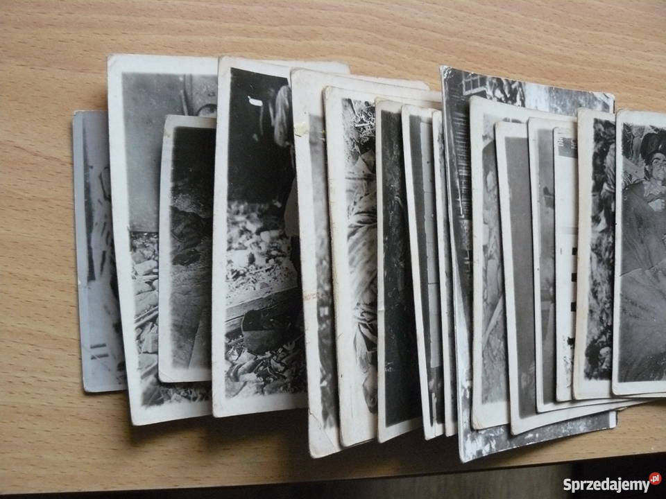 Zdjęcia pamiątki obozowe