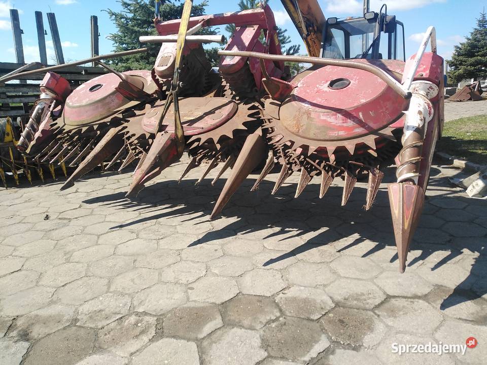 Kemper 4500 Strzelno