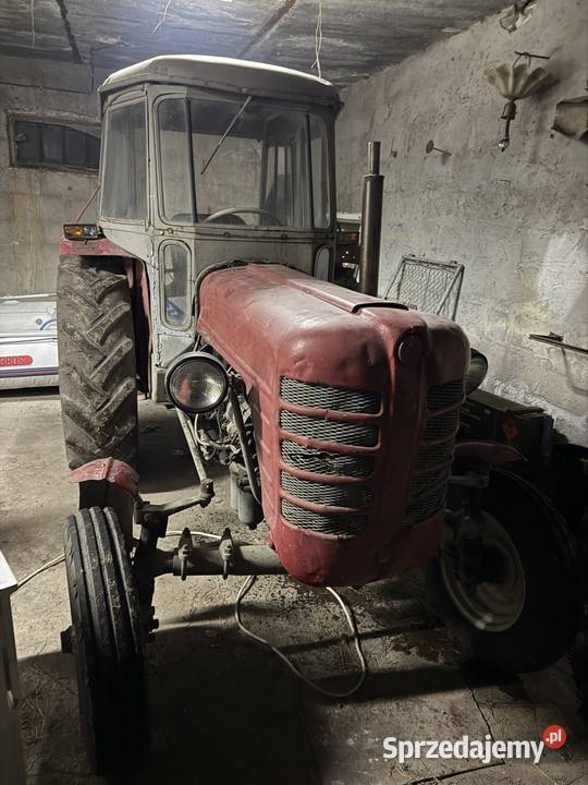Zetor 3011 oryginał zarejestrowany Nielisz