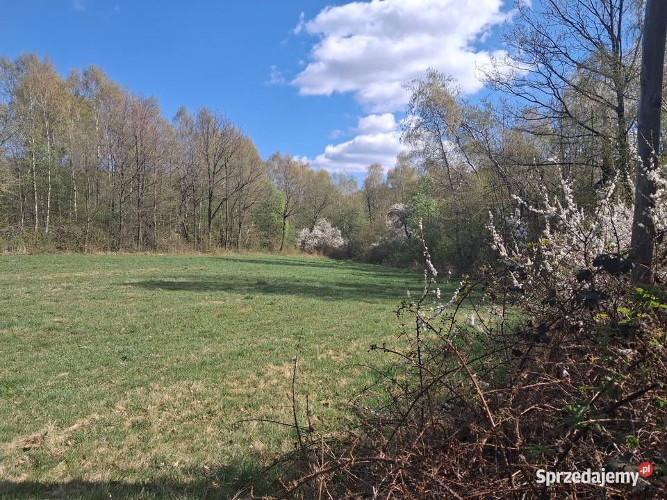 Lipnica dolna Działka rolnoleśna małopolskie