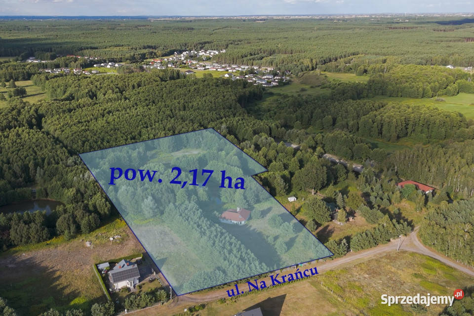 Dom z wyspą pod Toruniem Obory