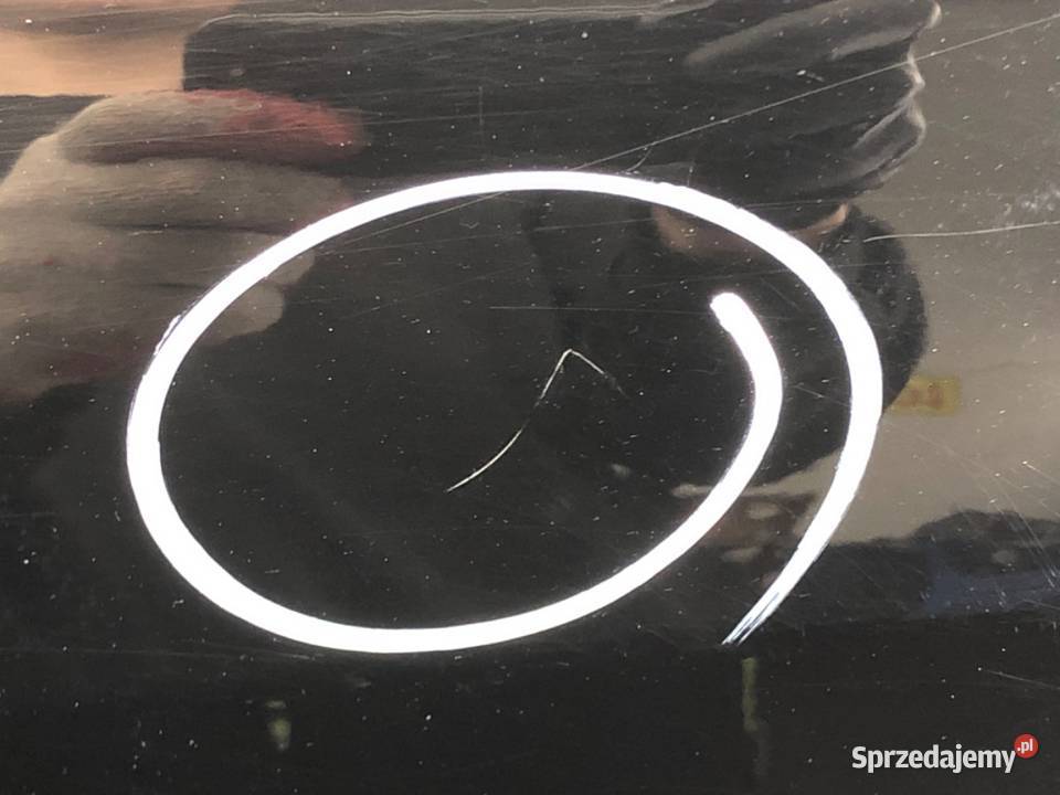 DRZWI TYŁ LEWE MERCEDES W221 SedanLimuzyna 0513 podkarpackie