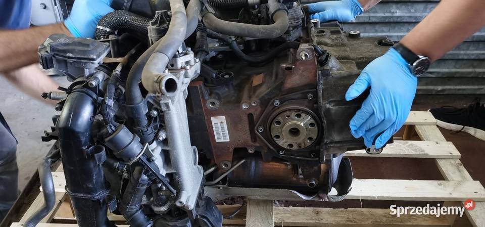 Silnik opel insignia 20 cdti 88kw symbol A20dte Silniki kompletne dolnośląskie Prochowice