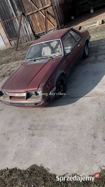 Ford Mustang Jarocin