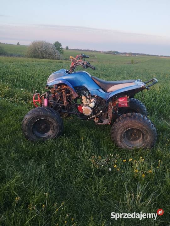 Sprzedam Bashan 250 Rok produkcji 2014 Brusy sprzedam